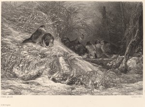 Abrigo da geada de Karl Bodmer