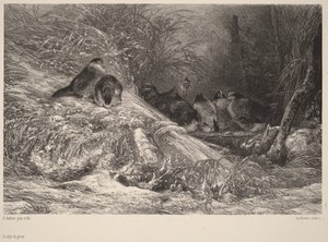  de Karl Bodmer