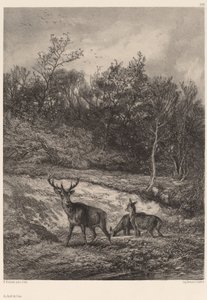 Na beira da água. de Karl Bodmer