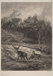 À beira da água de Karl Bodmer
