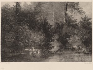 Patos, 18611866. de Karl Bodmer