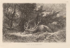 Deer a la Repusee de Karl Bodmer