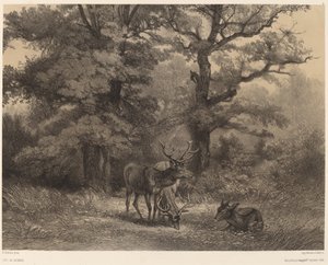 Veado no Gagnage. de Karl Bodmer