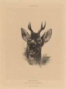 Veado. de Karl Bodmer