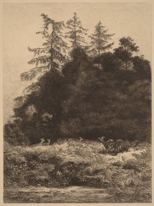 Gamos num parque de Karl Bodmer