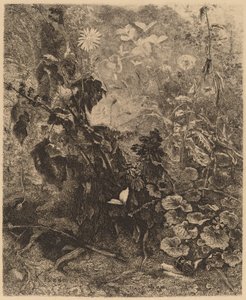 Escargots e papillons de Karl Bodmer