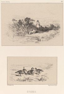 Estudos de Karl Bodmer