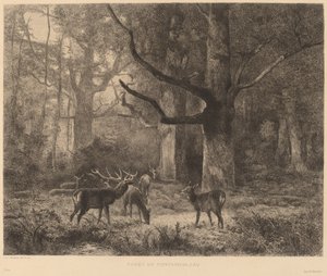 Floresta de Fontainebleau de Karl Bodmer