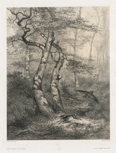 Lebre Perseguida por um Açor de Karl Bodmer