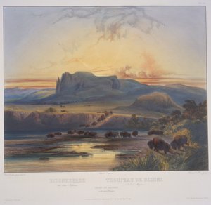 Rebanho de bisontes no Upper Missouri de Karl Bodmer
