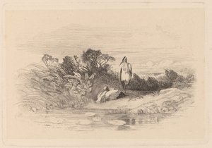Garças de Karl Bodmer