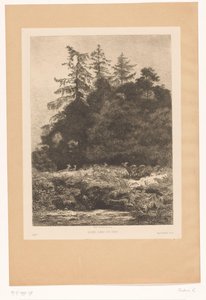 Cervos à beira de uma floresta Daims dans un parc (título no objeto) de Karl Bodmer
