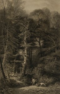 Interior da floresta de Karl Bodmer