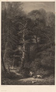 Interior da floresta. de Karl Bodmer