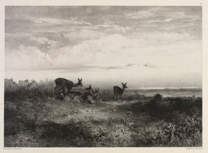 Paisagem com veados de Karl Bodmer