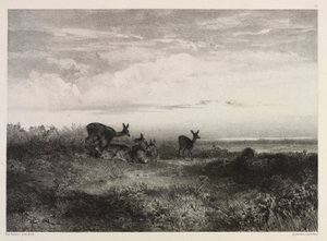 Paisagem com veados, c. 1840 de Karl Bodmer