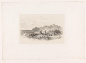 Paisagem com dois veados de cauda branca Paisagens com animais (título da série) de Karl Bodmer