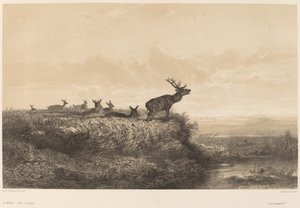 Le Matin. de Karl Bodmer