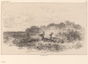 Le Repos. de Karl Bodmer