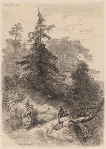 Os Faisões. de Karl Bodmer