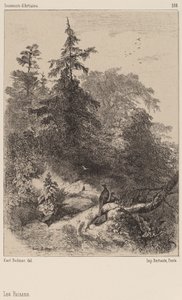 Faisões de Karl Bodmer