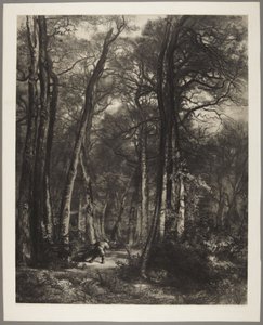 Homem na floresta de Karl Bodmer