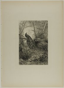 Pavões em um galho de Karl Bodmer