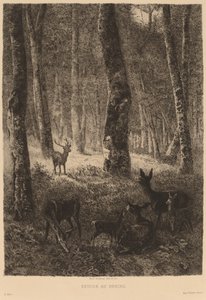 De volta para casa de Karl Bodmer
