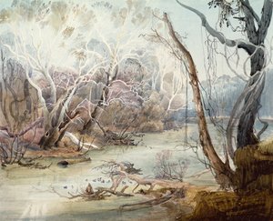 O rio Fox perto de New Harmony, Indiana de Karl Bodmer