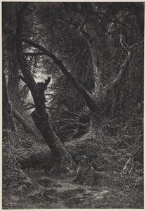 Dois ursos na floresta de Karl Bodmer