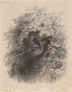 Un Abri A Shelter, 1858. de Karl Bodmer