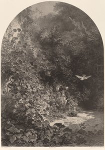 Um canto do jardim de Karl Bodmer