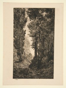 Estrada ascendente em Auvers de Karl Daubigny