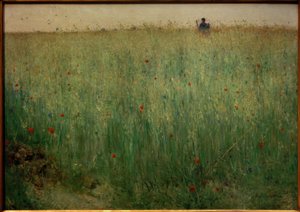 Campos de aveia em Grez