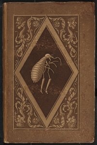 pulga mestre. Um Conto de Fadas em Sete Aventuras de Dois Amigos (Mestre Flea: Um Conto de Fadas em Sete Aventuras de Dois Amigos de Karl Friedrich Thiele, Ernst Theodor Amadeus Hoffmann