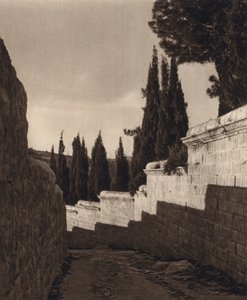 Jerusalém, Jardim do Getsémani (foto a p/b) de Karl Grober