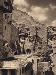 Mar Saba, Palma de São Sabas (foto a p/b) de Karl Grober
