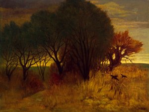 Moorlandschaft de Karl Haider