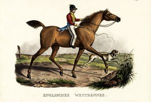 Cavalo inglês do piloto, 1824 de Karl Joseph Brodtmann