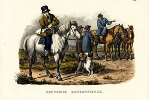 Cavalos Alemães, 1824 de Karl Joseph Brodtmann