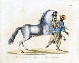  de Karl Joseph Brodtmann