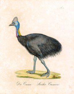  de Karl Joseph Brodtmann