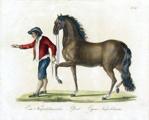  de Karl Joseph Brodtmann