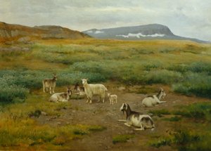Cabras na relva de Karl K. Uchermann