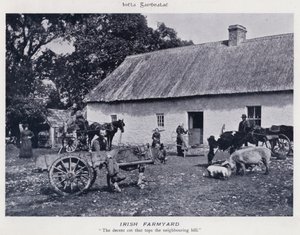 Estaleiro da Fazenda Irlandesa (foto a p/b)