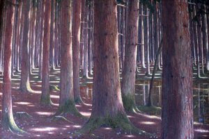 floresta de abeto de Karl Lambrecht