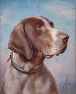 Retrato de cachorro de Karl Reichert