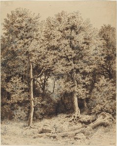 Um Bosque de Árvores de Karl Theodor Reiffenstein