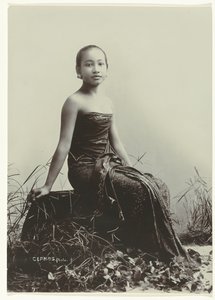 Retrato de estúdio de uma mulher javanesa
Retrato de estúdio de uma jovem javanesa sentada num tronco de árvore