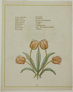 Ilustração decorativa, de The Illuminated Language of Flowers de Kate Greenaway